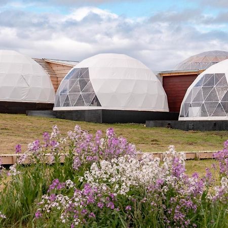 Garden Domes Villa Puerto Natales Eksteriør billede