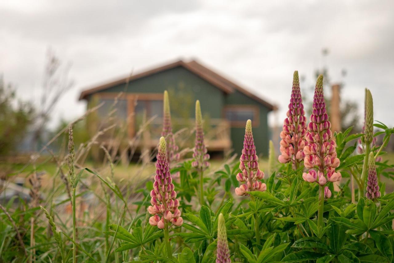 Garden Domes Villa Puerto Natales Eksteriør billede