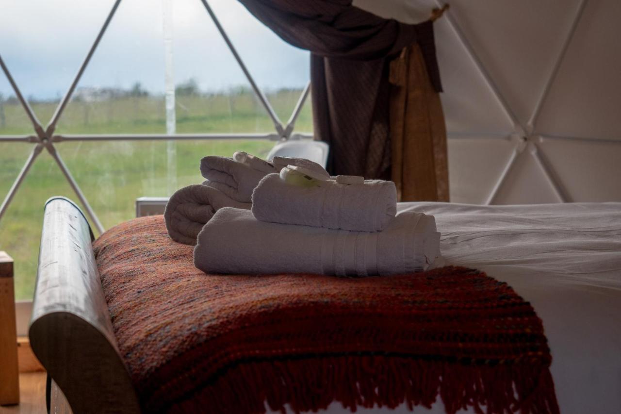 Garden Domes Villa Puerto Natales Eksteriør billede