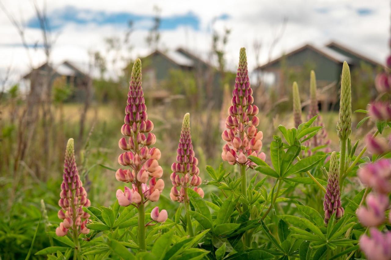Garden Domes Villa Puerto Natales Eksteriør billede