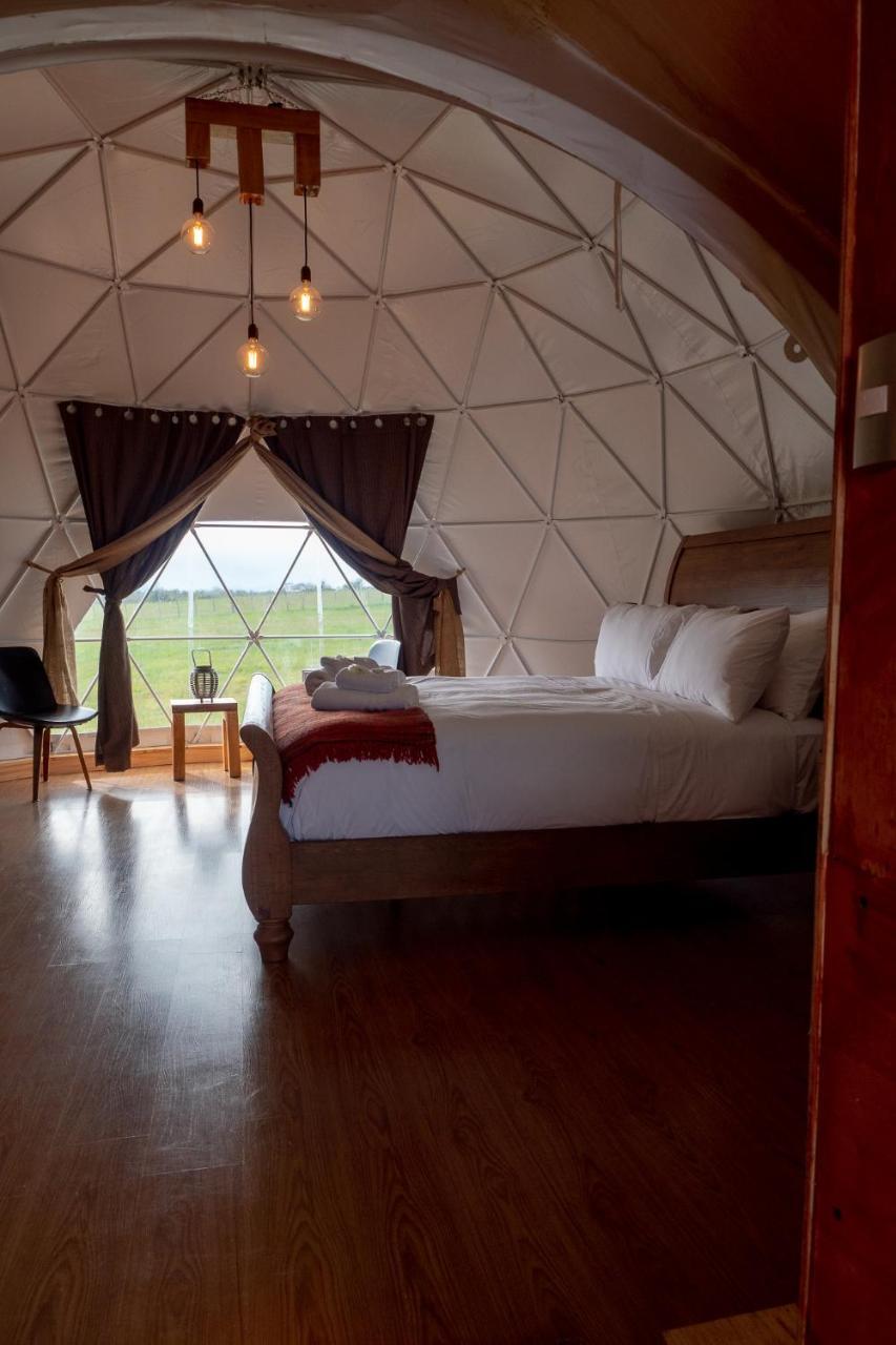 Garden Domes Villa Puerto Natales Eksteriør billede