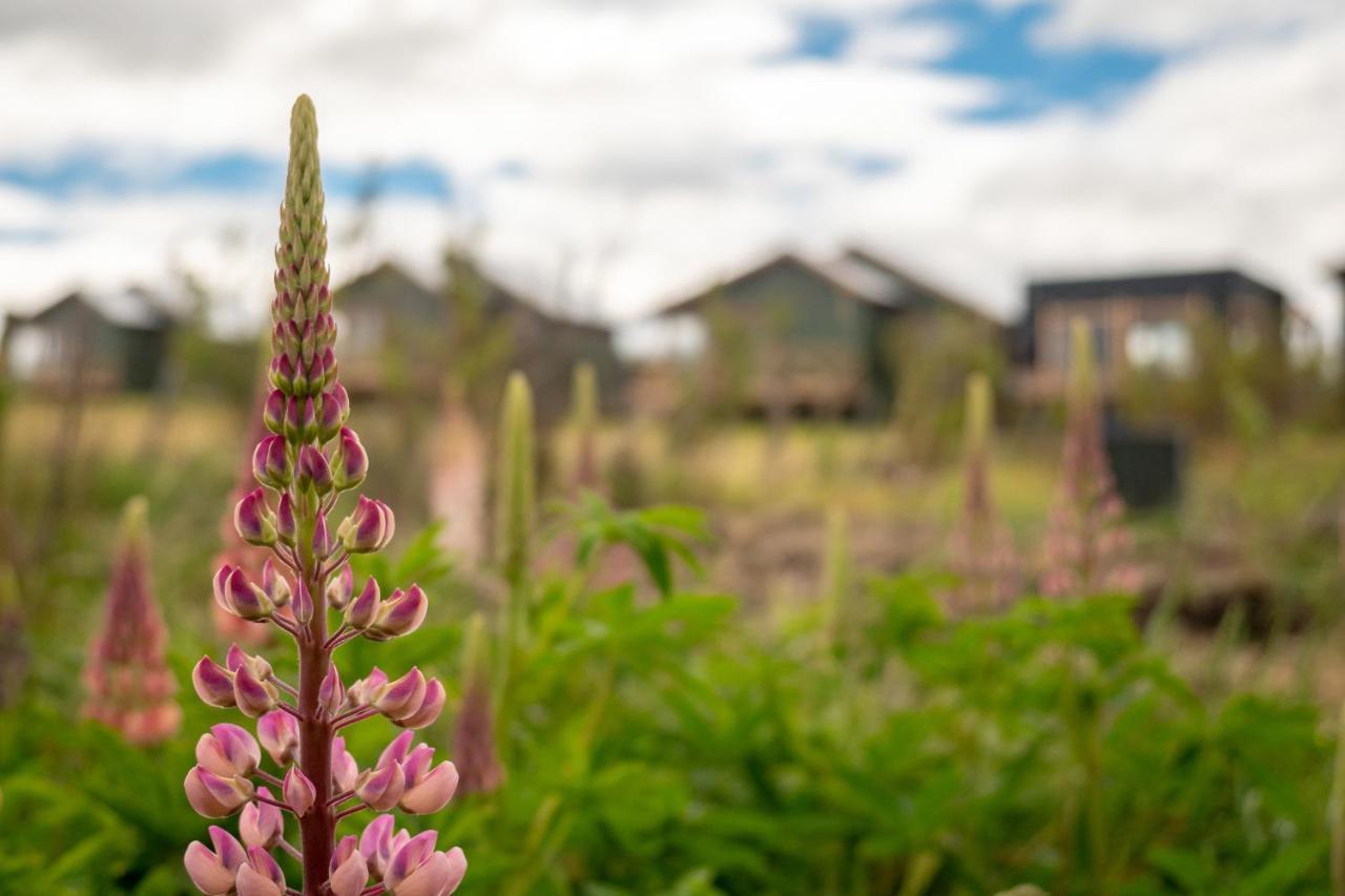 Garden Domes Villa Puerto Natales Eksteriør billede