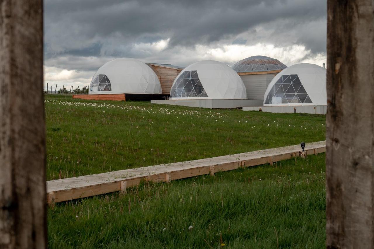 Garden Domes Villa Puerto Natales Eksteriør billede