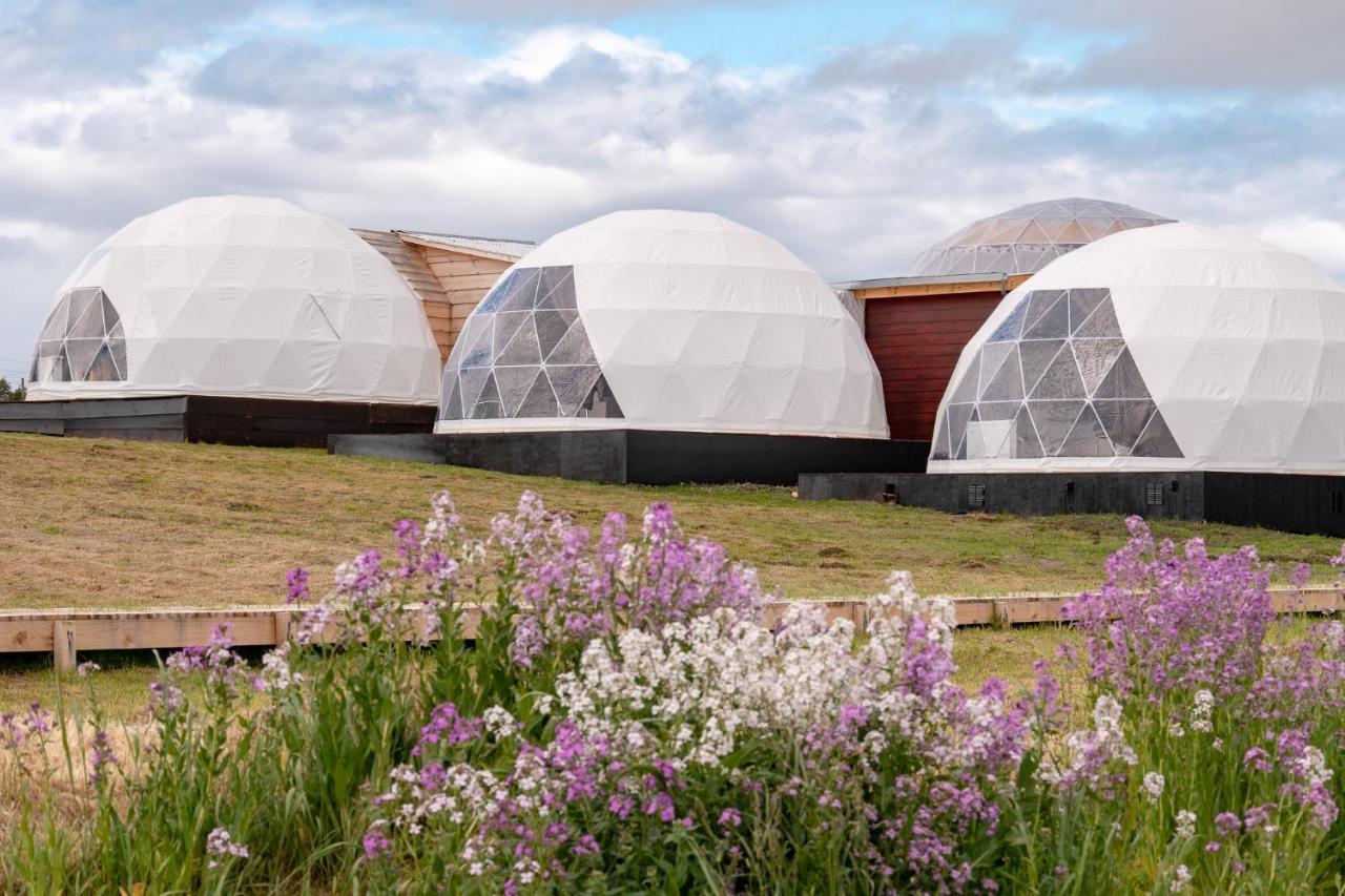 Garden Domes Villa Puerto Natales Eksteriør billede